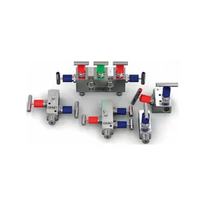 Manifolds Hoke