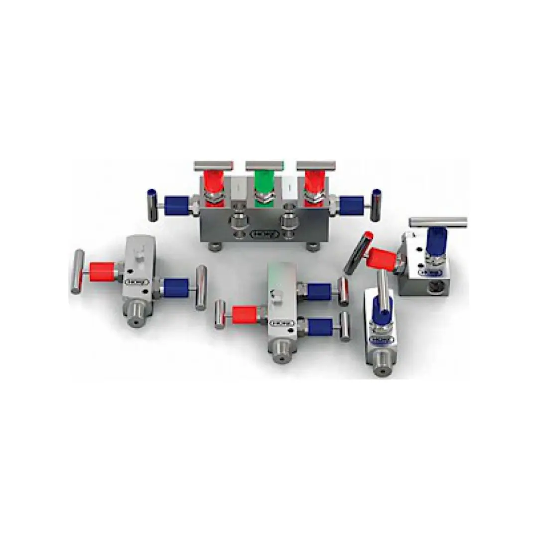 Manifolds Hoke